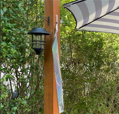 Principio di nastri da uccello